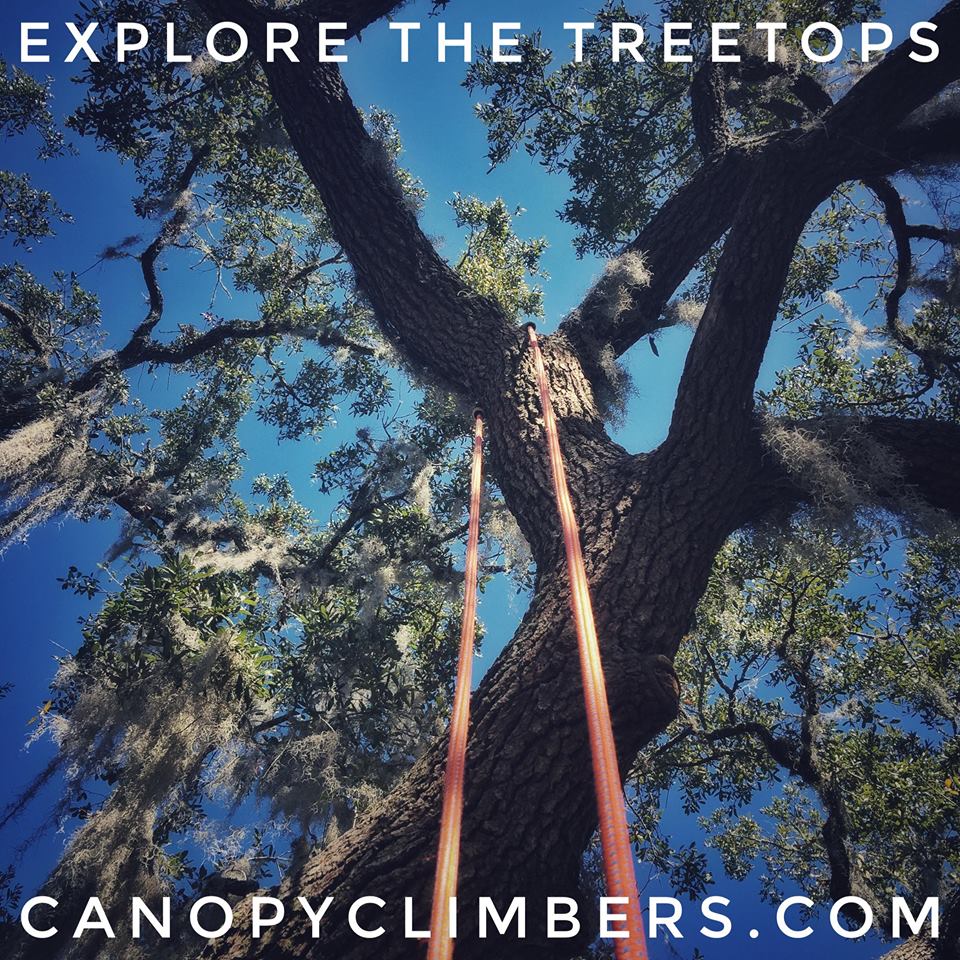 Canopy Climbers