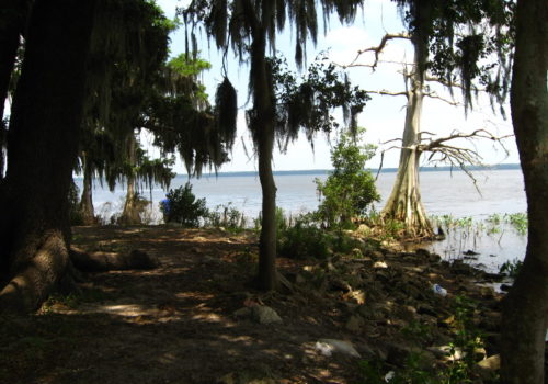 Palm Point Nature Park