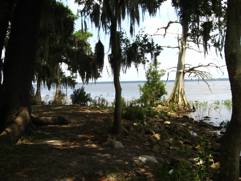 Palm Point Nature Park