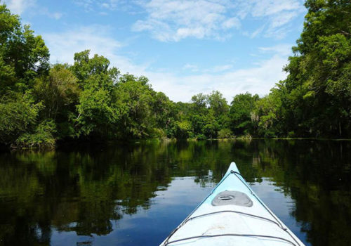 Kayaking on Santa Fe River