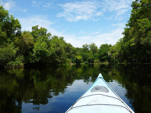 Kayaking on Santa Fe River