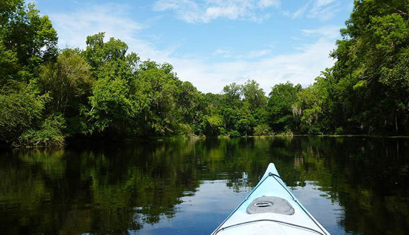 Kayaking on Santa Fe River