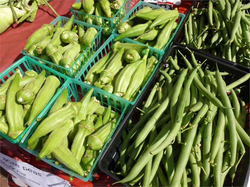 Okra and String Beans