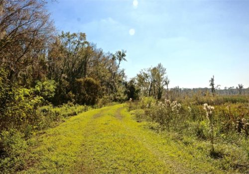 Barr Hammock North Trail