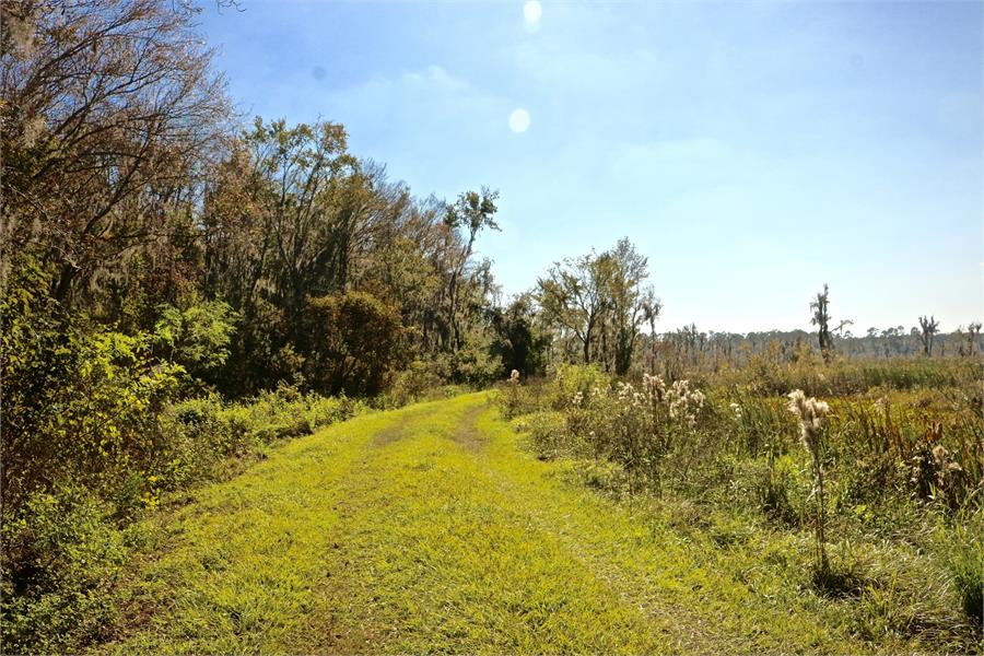 Barr Hammock North Trail