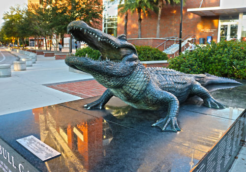 Bull Gator statue outside Heavener Hall at Ben Hill Griffin Stadium at the University of Florida in Gainesville, FL.