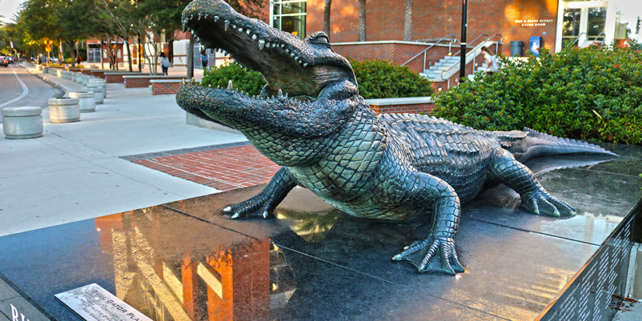 Bull Gator statue outside Heavener Hall at Ben Hill Griffin Stadium at the University of Florida in Gainesville, FL.