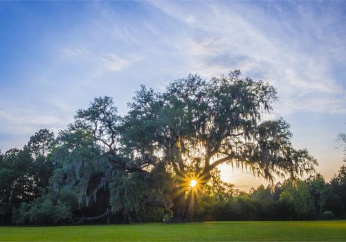 Cellon Oak Park sunset