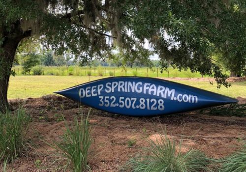Deep Springs Organic Farm