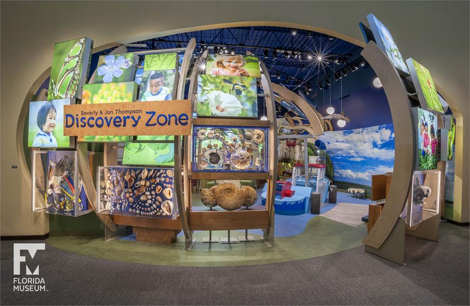 Discovery Zone Entrance
