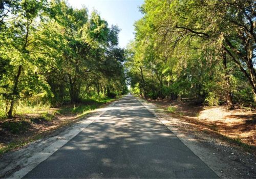 Gainesville-Hawthorne State Trail