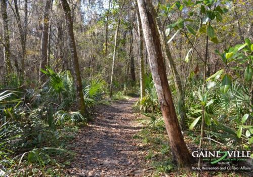 John Mahon Nature Park