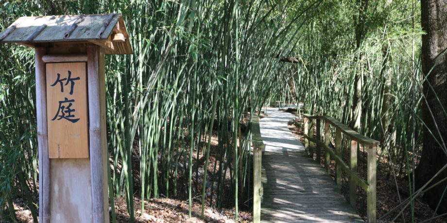 Bamboo Garden at Kanapaha Botanical Gardens
