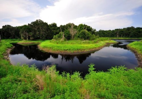 La Chua Trail