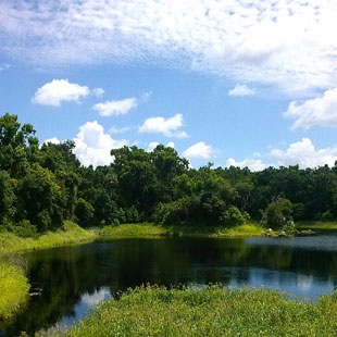 The La Chua Trail at Paynes Prairie