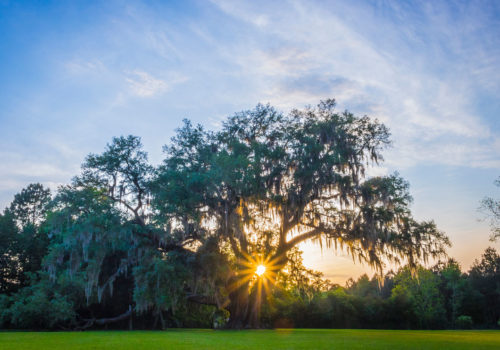 Sunset at Cellon Oak Park