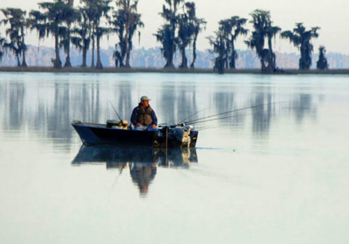 Melrose Bay fisherman