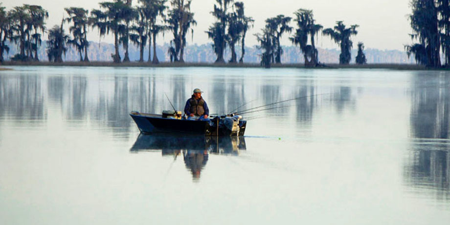 Melrose Bay fisherman