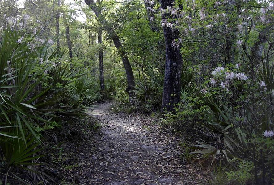 O'Leno State Park