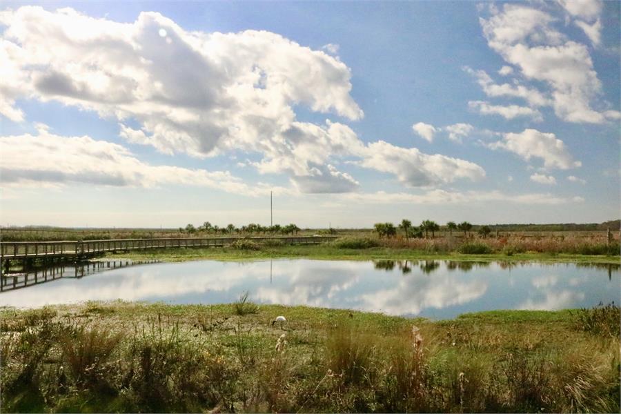 View of Sweetwater Wetlands Park