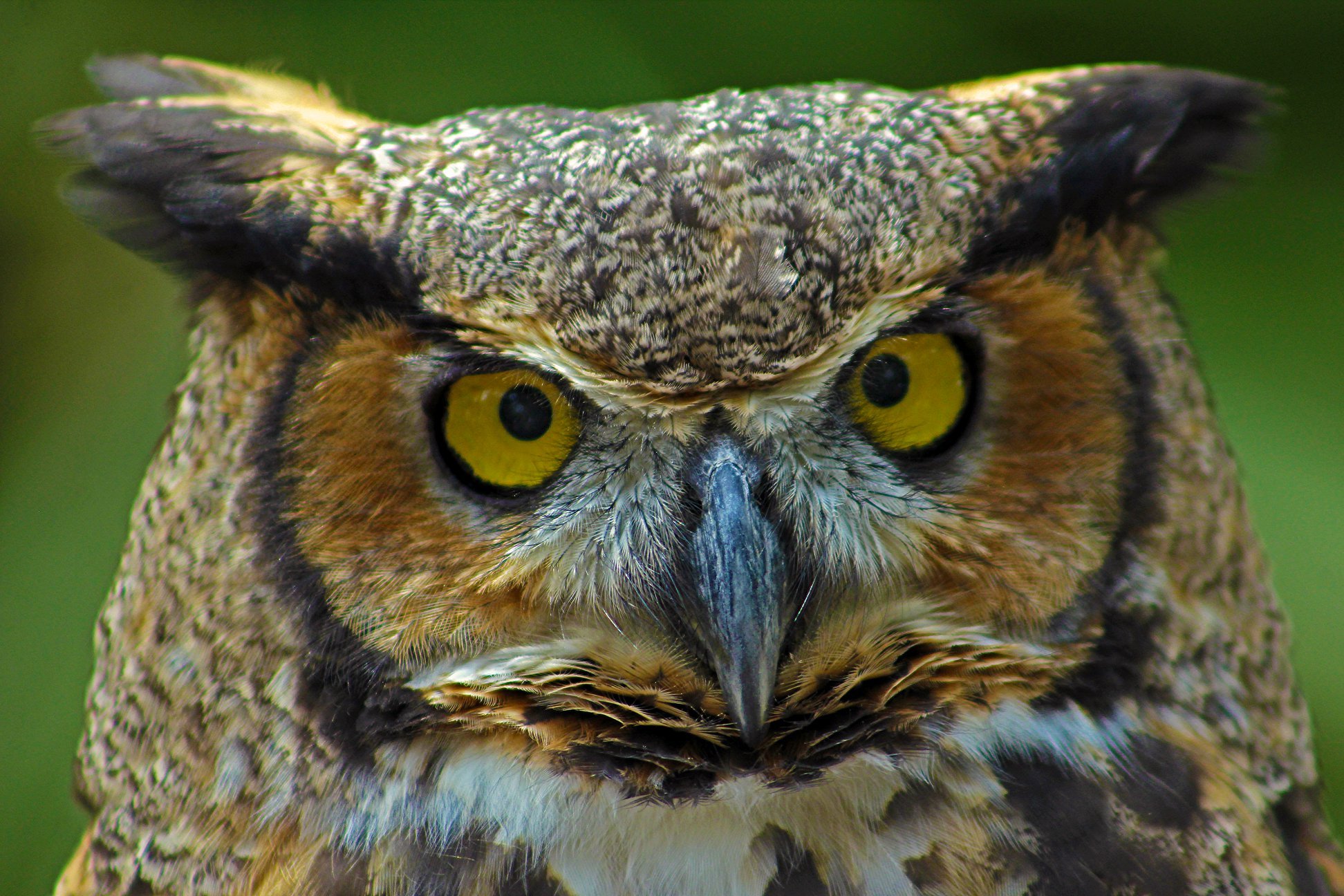environmental center night owls
