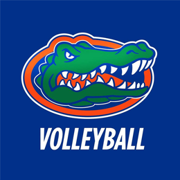 Poster for Cheer on Gators Volleyball Against Stony Brook