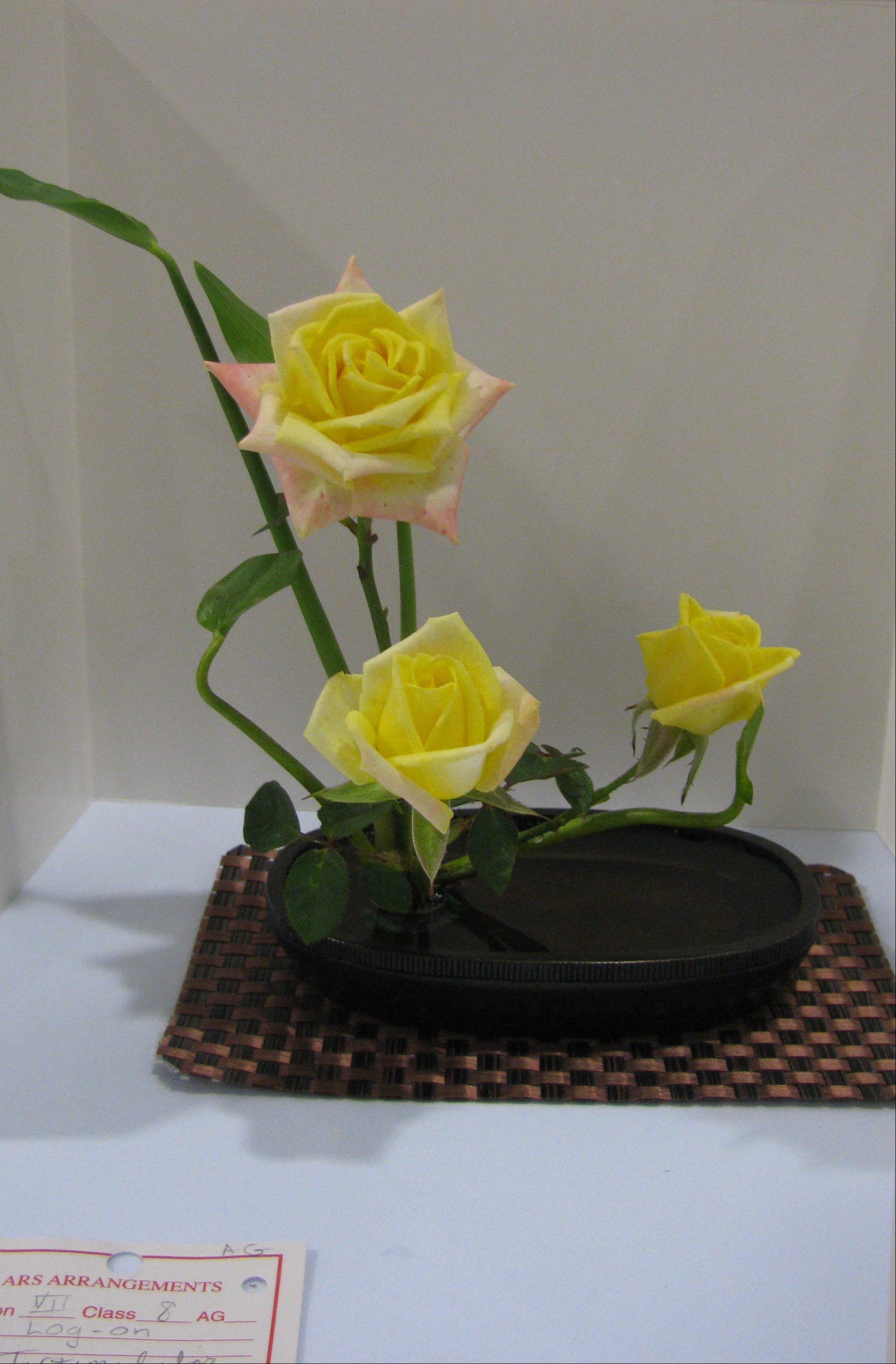 Rose Arrangement In A Tea Cup Work Events Rose Arrangement In A Tea Cup Work Events