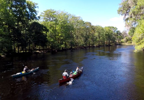 Canoes paddle down the Santa Fe River