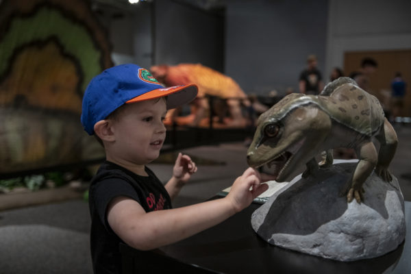 Kid at exhibit