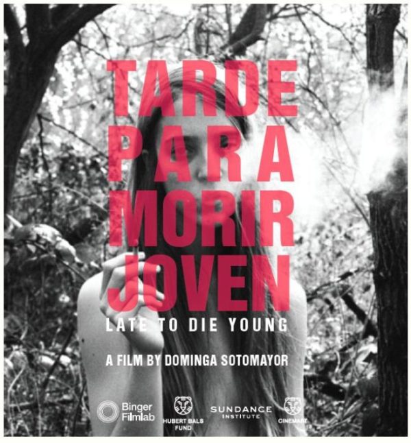 too late to die young movie poster