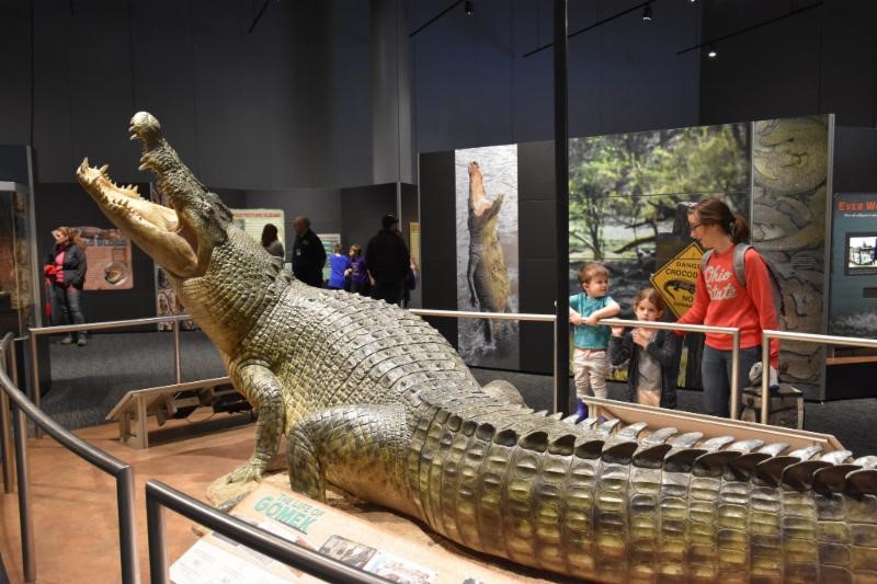 Florida Museum CROCS exhibit