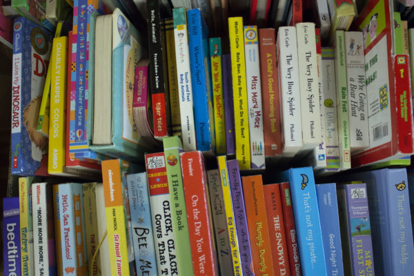 Books at the Friends of the Library Book Sale