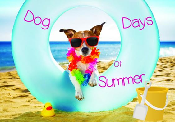 Dog Days of Summer