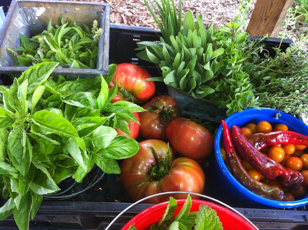 Fresh produce and herbs at farmers market