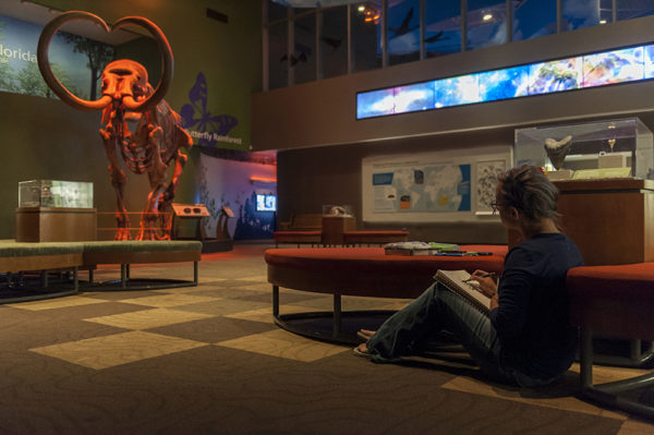 artist looking at mammoth skeleton while drawing it with a pencil on a pad of paper
