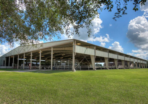 Alachua County Agricultural and Equestrian Center