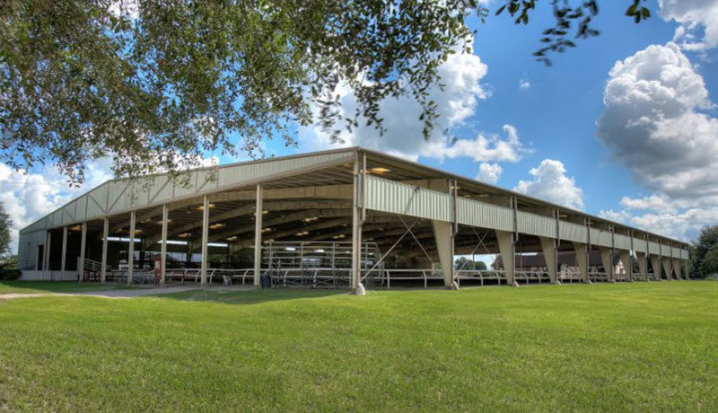 Alachua County Agricultural and Equestrian Center