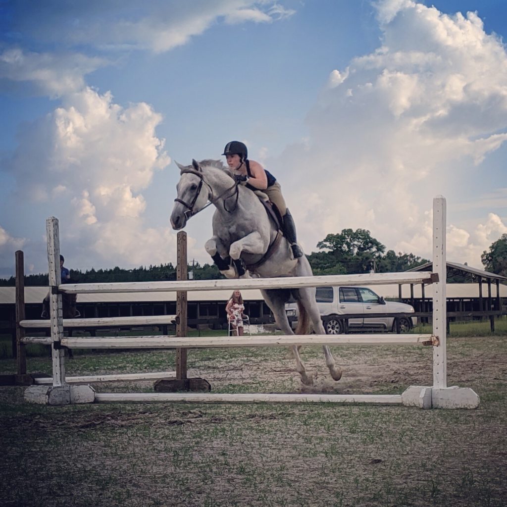 Horse jumping over obstacle, schooling in the outdoor arena