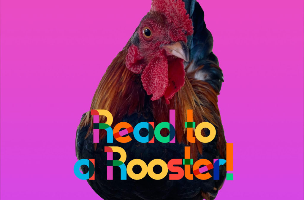 Rooster with fun text, Read to a Rooster