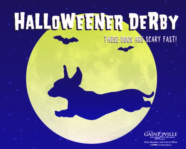 Full moon with silhouettes of bats and a Dachshund flying across the sky. Halloweener Derby