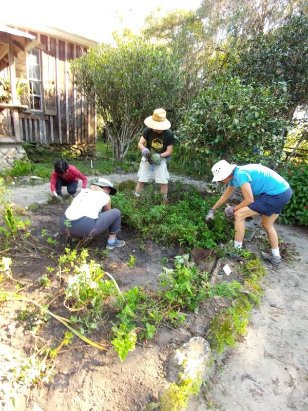volunteers working in farmhouse garden