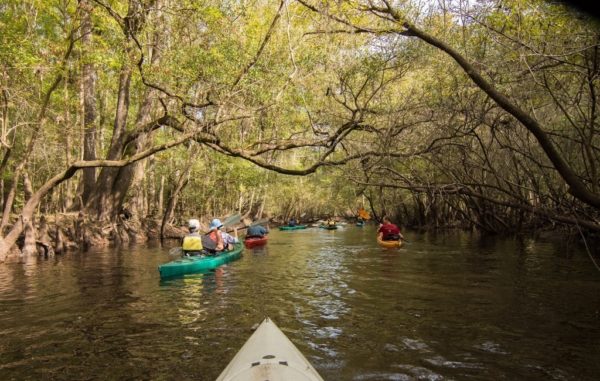 Paddlers on the Santa Fe River