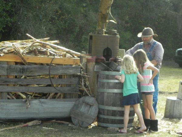 making sugar cane syrup
