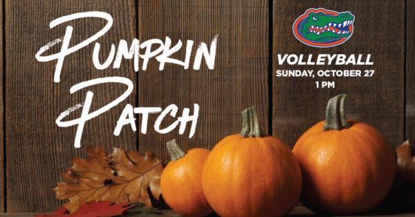 Images of pumpkins and fall leaves. Pumpkin Patch Gators Volleyball, Sunday October 27, 1pm