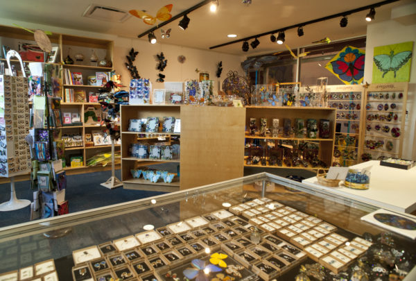 florida museum gift shop