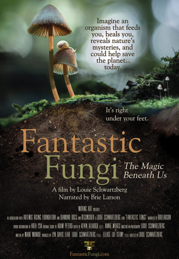 Poster for Fantastic Fungi The MAgic Beneath Us with close up of mushroom in the ground.