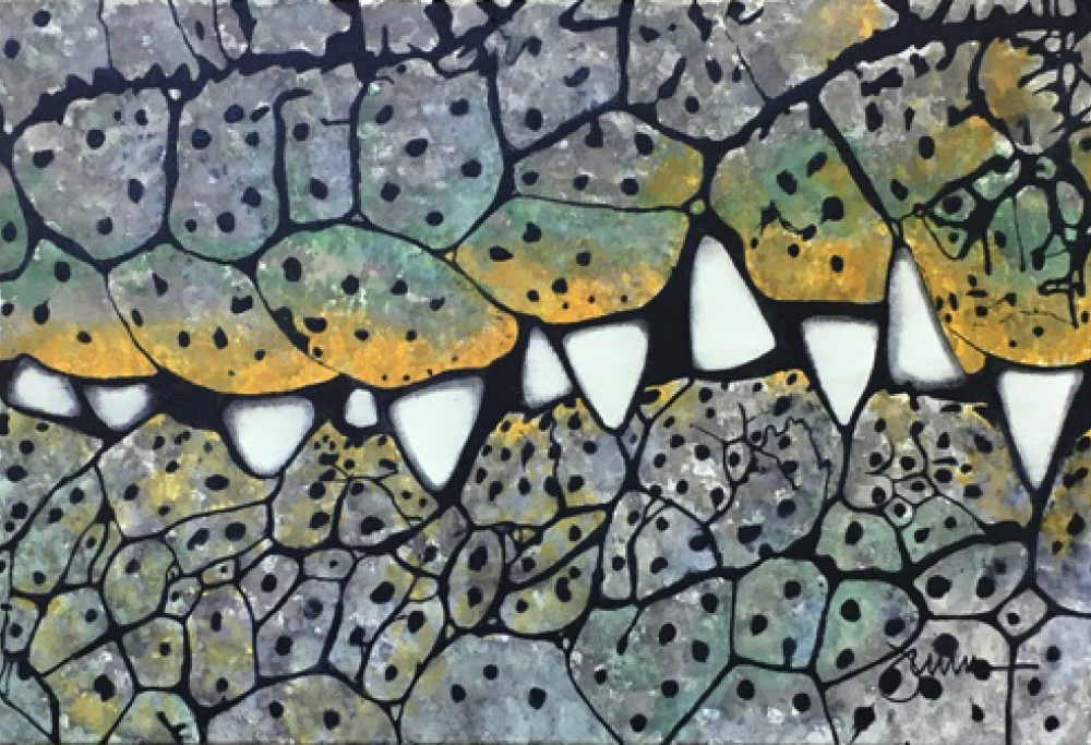 Abstract artwork of an alligator's teeth