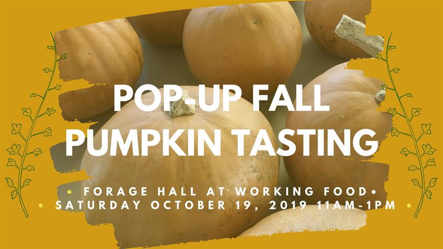 Photo of pumpkins in the background. Pop Up Fall Pumpkin Tasting. Forage Hall at Working Food. Saturday, october 19, 11 am - 1 pm