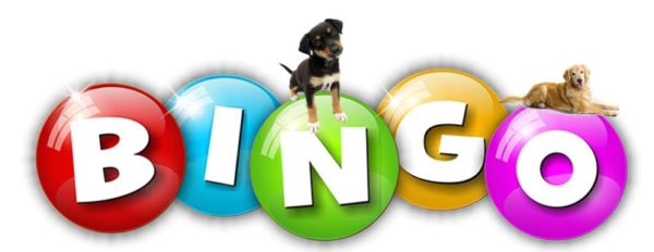 B-I-N-G-O