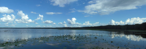 Newnans Lake
